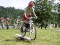  Bartek